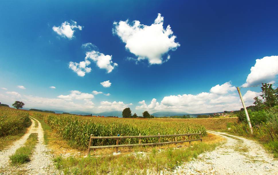 青空と白い雲と畑の夏の田舎の風景写真