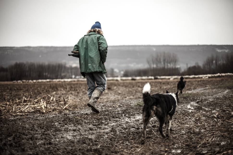 荒れ地を歩く人とシェパード犬の写真