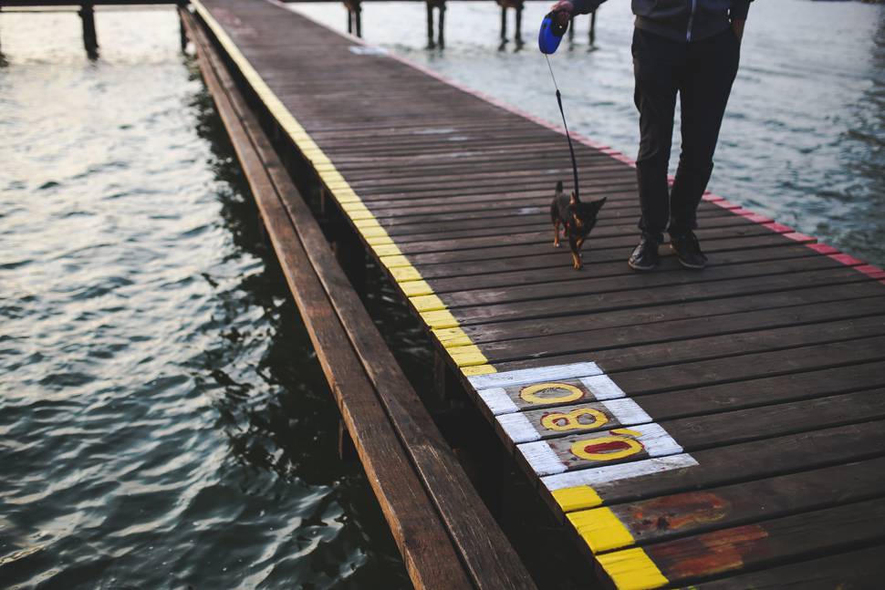 桟橋を散歩する子犬と飼い主さんの写真