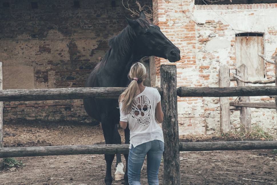 牧場の馬と女性の優しい雰囲気の写真