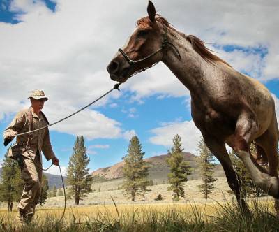 リードを使って馬の調教をする男性の写真