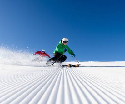 パウダースノーを滑るスキーヤーの写真