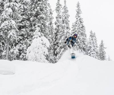 photo-snowboard-boy-tree