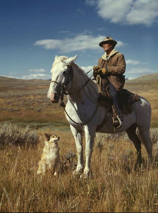 白馬と人と犬のレトロなイメージの写真