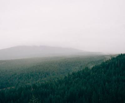 霞の森を撮影した遠近感の伝わる美しい写真