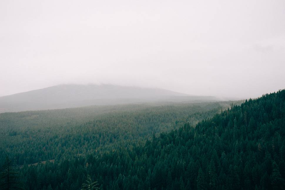 霞の森を撮影した遠近感の伝わる美しい写真