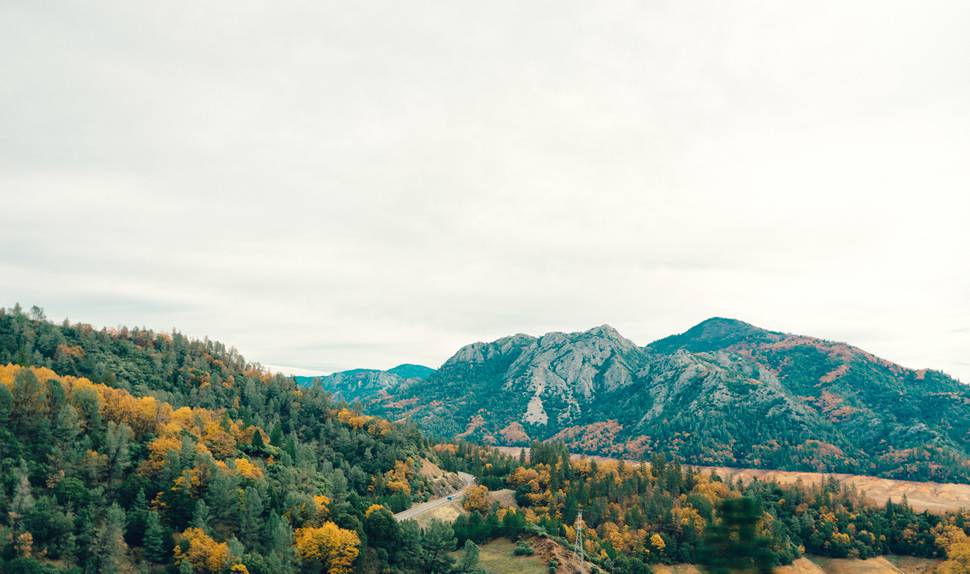 山脈と紅葉し始めた森を撮影した写真