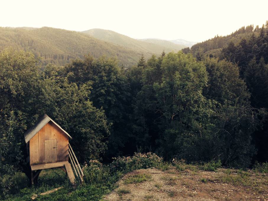 深い森の中の木造の山小屋のレトロな写真