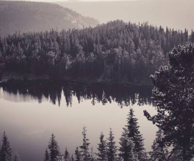 山間の森の中の湖を撮影した美しい写真