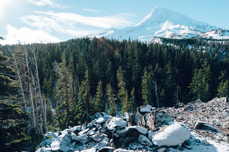 雪山と冬の森のスケール感溢れる写真