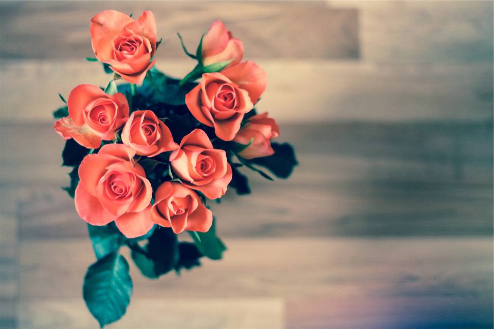 花瓶に生けた薔薇の花を撮影した美しい写真