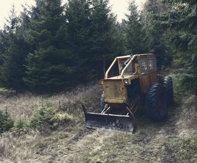 photo-bulldozer-car-forest-retro